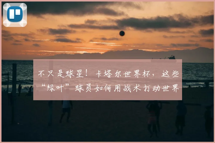 不只是球星！卡塔尔世界杯，这些“绿叶”球员如何用战术打动世界