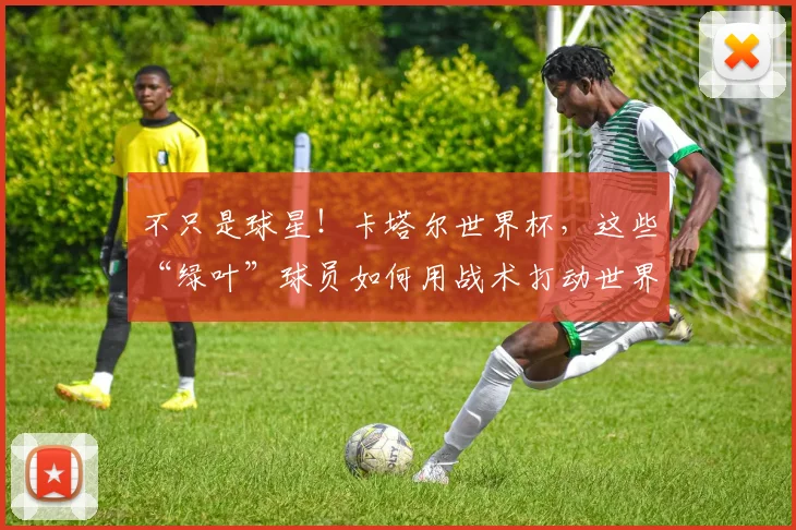 不只是球星！卡塔尔世界杯，这些“绿叶”球员如何用战术打动世界